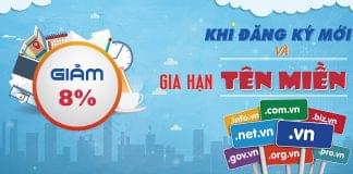 HostingViet tung chương trình khuyến mãi mừng xuân Đinh Dậu