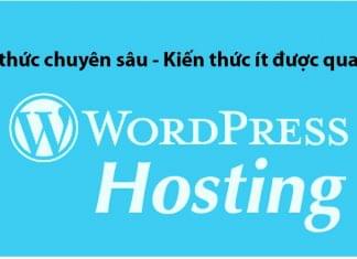 Những điều cần nắm rõ về WordPress Hosting