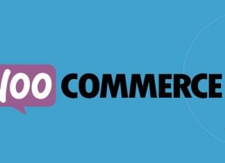 Giới thiệu Plugin Woo Commerce